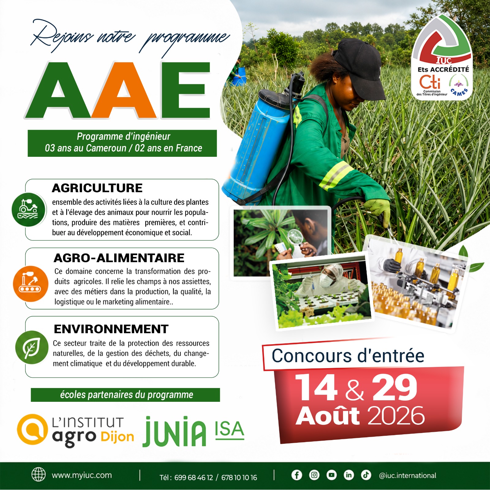 AAE Newsletter