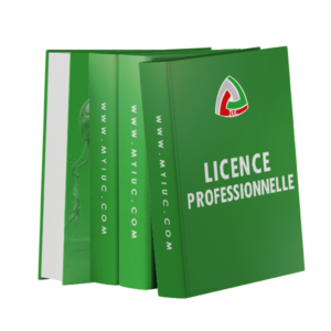 LIPRO - LICENCE PROFESSIONNELLE