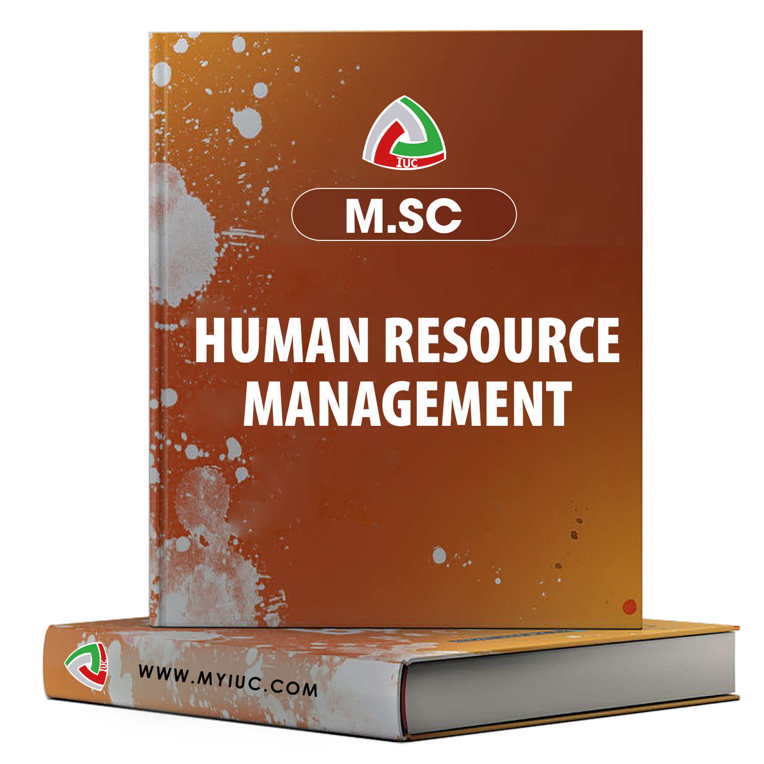 Lns Resource Manager: Your Guide To Streamlined Resource Management - umerbex